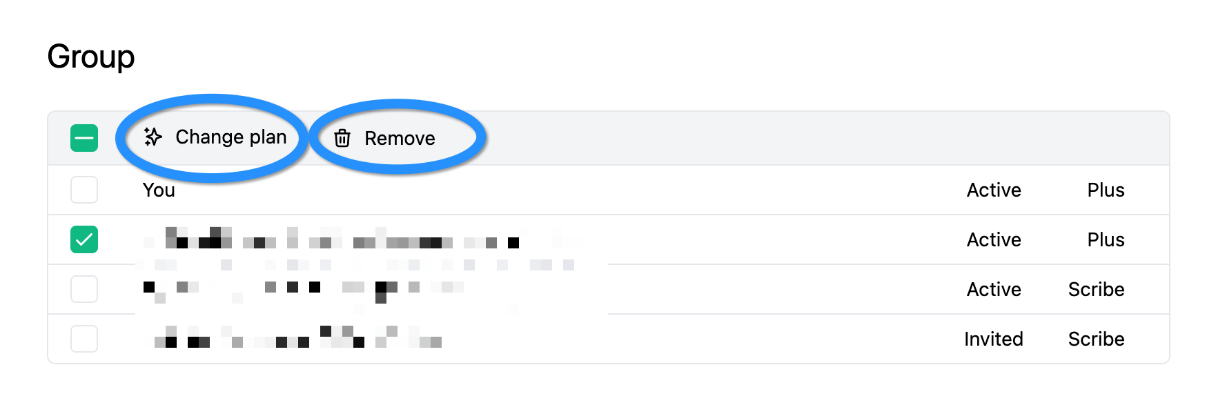 Remove or change plan of a user in a group